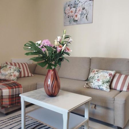 Spacious Apartment La Mata Pool&Beach トレビエハ エクステリア 写真