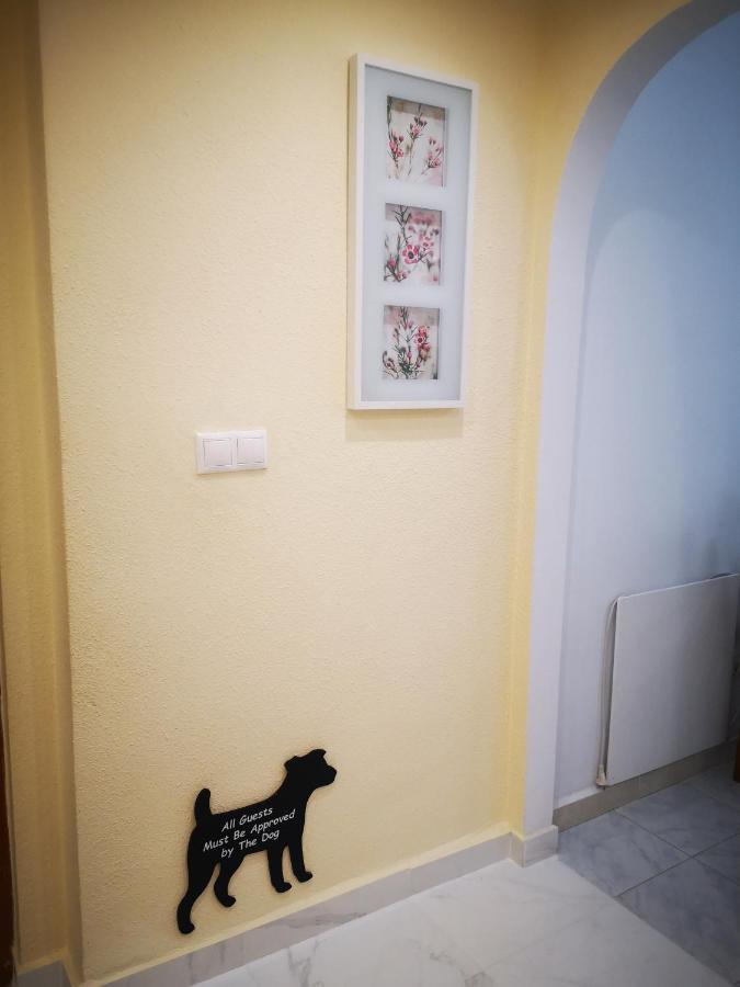 Spacious Apartment La Mata Pool&Beach トレビエハ エクステリア 写真