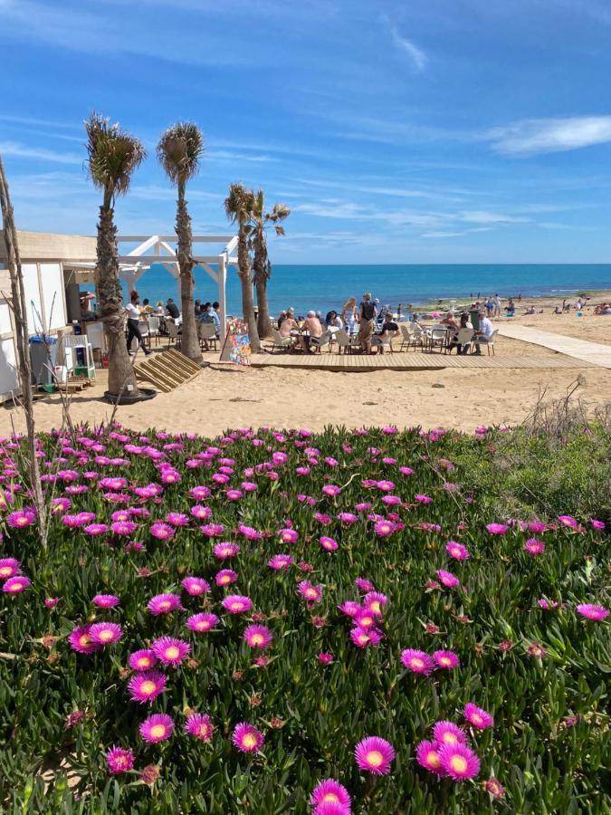 Spacious Apartment La Mata Pool&Beach トレビエハ エクステリア 写真